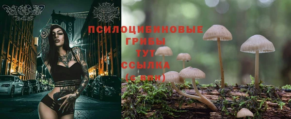 каннабис Касимов