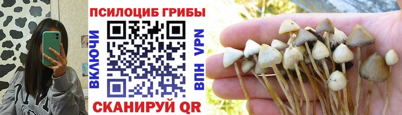Купить закладки  Болохово  Галлюциногенные грибы GOLDEN TEACHER 