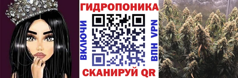 Купить закладки  Болохово  Бошки марихуана конопля 